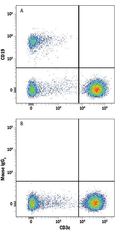 Human peripheral blood mononuclear cells (PBMCs) were stained with Mouse Anti-Human CD3e PE-conjugated Monoclonal Antibody (Catalog # FAB100P) and either (A) Mouse Anti-Human CD19 Alexa Fluor® 647-conjugated Monoclonal Antibody (Catalog # FAB4867R) or (B) Mouse IgG1Alexa Fluor 647 Isotype Control (Catalog # IC002R). View our protocol for Staining Membrane-associated Proteins.