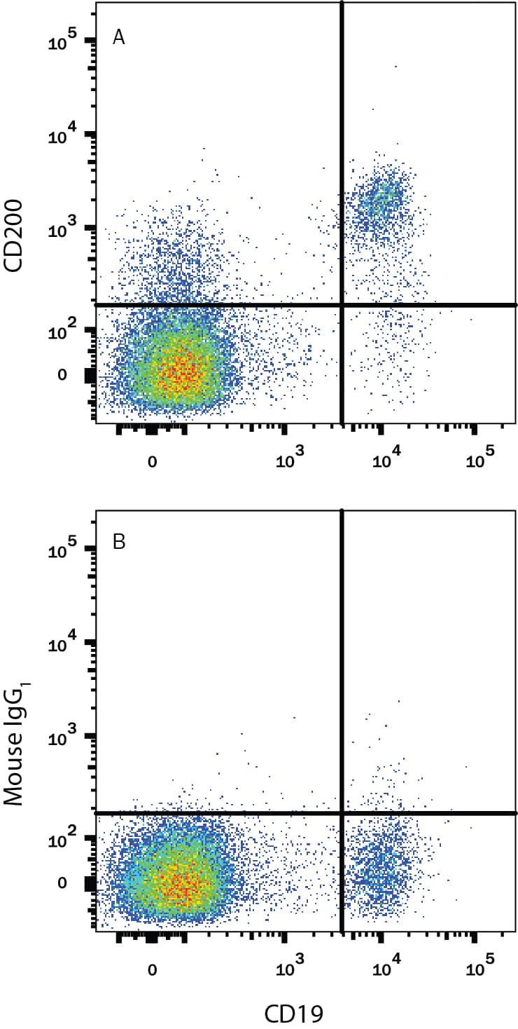 Human peripheral blood lymphocytes were stained with Mouse Anti-Human CD19 PE-conjugated Monoclonal Antibody (Catalog # FAB4867P) and either (A) Mouse Anti-Human CD200 Monoclonal Antibody (Catalog # MAB27241) or (B) Mouse IgG1Isotype Control (Catalog # MAB002) followed by Allophycocyanin-conjugated Anti-Mouse IgG Secondary Antibody (Catalog # F0101B).