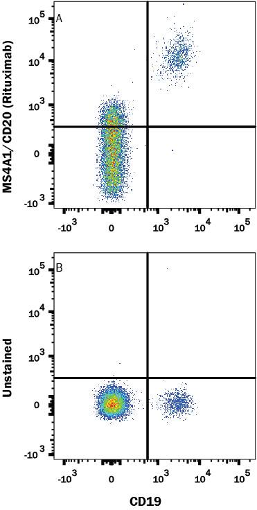 Human PBMC were stained with (A) Human Anti-Human CD20 (Research Grade Rituximab Biosimilar) PE-conjugated Monoclonal Antibody (Catalog # FAB9575P) or (B) unstained, and Mouse anti-Human CD19 APC-conjugated Monoclonal Antibody (Catalog # FAB4867A). View our protocol for Staining Membrane-associated Proteins.