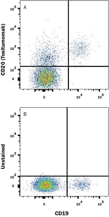 Human PBMCs were stained with (A) Human Anti-Human CD20 (Research Grade Tositumomab Biosimilar) Monoclonal Antibody (Catalog # MAB10440) or (B) unstained, followed by followed by APC-conjugated Anti-Human IgG Secondary Antibody (Catalog # F0135) and Mouse anti-Human CD19 PE-conjugated Monoclonal Antibody (Catalog # FAB4867P). View our protocol for Staining Membrane-associated Proteins.