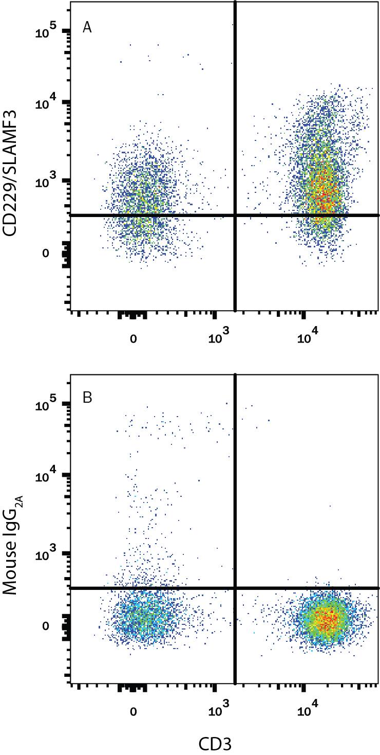 Human peripheral blood mononuclear cells (PBMCs) were stained with Mouse Anti-Human CD3e APC-conjugated Monoclonal Antibody (Catalog # FAB100A) and either (A) Mouse Anti-Human CD229/SLAMF3 PE-conjugated Monoclonal Antibody (Catalog # FAB1898P) or (B) Mouse IgG2APhycoerythrin Isotype Control (Catalog # IC003P). View our protocol for Staining Membrane-associated Proteins.