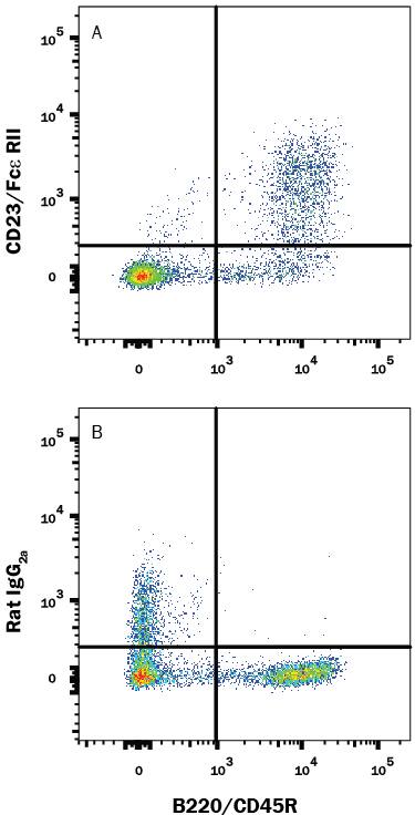 Mouse splenocytes were stained with Rat Anti-Mouse B220/CD45R APC-conjugated Monoclonal Antibody (Catalog # FAB1217A) and either (A) Rat Anti-Mouse CD23/Fce RII Alexa Fluor® 594-conjugated Monoclonal Antibody (Catalog # FAB6900T) or (B) Rat IgG2AAlexa Fluor 594 Isotype Control (Catalog # IC006T). View our protocol for Staining Membrane-associated Proteins.