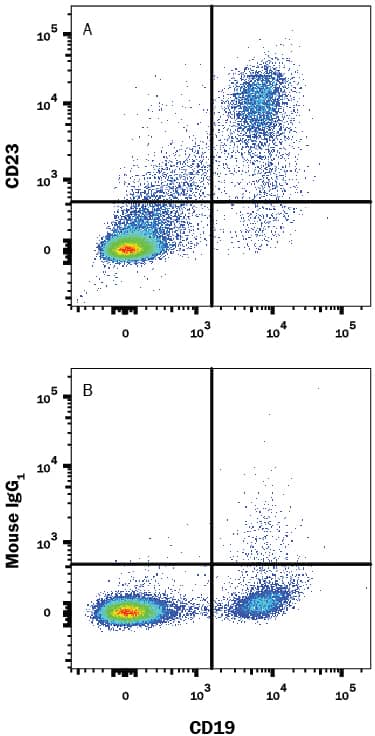 Human peripheral blood lymphocytes were stained with Mouse Anti-Human CD19 APC-conjugated Monoclonal Antibody (FAB4867A) and either (A) Mouse Anti-Human CD23/Fce RII Monoclonal Antibody (Catalog # MAB123) or (B) Mouse IgG1Isotype Control (MAB002) followed by Phycoerythrin-conjugated Anti-Mouse IgG Secondary Antibody (F0102B). View our protocol for Staining Membrane-associated Proteins.