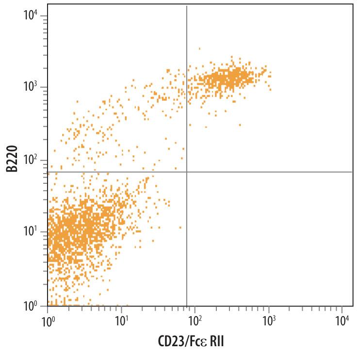 Mouse splenocytes were stained with Rat Anti-Mouse CD23/Fce RII Monoclonal Antibody (Catalog # MAB6900) followed by Phycoerythrin-conjugated Anti-Rat IgG Secondary Antibody (Catalog # F0105B) and Rat Anti-Mouse B220/CD45R APC-conjugated Monoclonal Antibody (Catalog # FAB1217A). Quadrant markers were set based on control antibody staining (Catalog # MAB006).