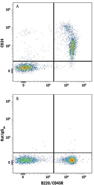 Mouse splenocytes were stained with Rat Anti-Mouse B220/CD45R APC-conjugated Monoclonal Antibody (Catalog # FAB1217A) and either (A) Rat Anti-Mouse CD24 Alexa Fluor® 488-conjugated Monoclonal Antibody (Catalog # FAB8547G) or (B) Rat IgG2AAlexa Fluor 488 Isotype Control (Catalog # IC006G). View our protocol for Staining Membrane-associated Proteins.