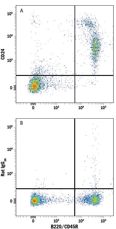 Mouse splenocytes were stained with Rat Anti-Mouse B220/CD45R PE-conjugated Monoclonal Antibody (Catalog # FAB1217P) and either (A) Rat Anti-Mouse CD24 Monoclonal Antibody (Catalog # MAB8547) or (B) Rat IgG2AIsotype Control (Catalog # MAB006) followed by Allophycocyanin-conjugated Anti-Rat IgG Secondary Antibody (Catalog # F0113).