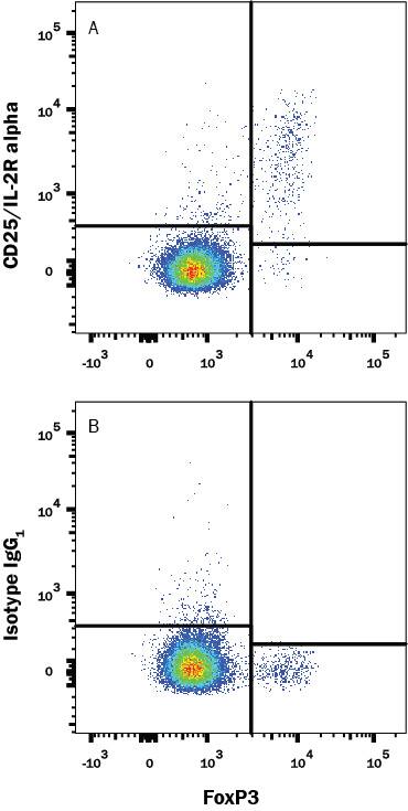 Mouse splenocytes were stained with Rabbit Anti-Human/Mouse FoxP3 PE-conjugated Monoclonal Antibody (Catalog # IC8214P) and either (A) Rat Anti-Mouse CD25/IL-2 R alpha APC-conjugated Monoclonal Antibody (Catalog # FAB9164A) or (B) Rat IgG1Allophycocyanin Isotype Control (Catalog # IC005A). View our protocol for Staining Membrane-associated Proteins.