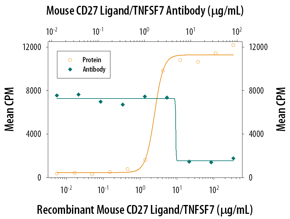 In the presence of sub-optimal amounts of Mouse CD3e Monoclonal Antibody (Catalog # MAB484), Recombinant Mouse CD27 Ligand/TNFSF7 (Catalog # 783-CL) stimulates proliferation in mouse splenic T cells in a dose-dependent manner (orange line). Under these conditions, proliferation elicited by Recombinant Mouse CD27 Ligand/TNFSF7 (10 µg/mL) is neutralized (green line) by increasing concentrations of Goat Anti-Mouse CD27 Ligand/TNFSF7 Antigen Affinity-purified Polyclonal Antibody (Catalog # AF783). The ND50 is typically 3-12 µg/mL.