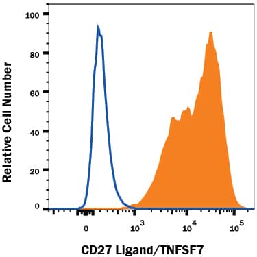 THP-1 human acute monocytic leukemia cell line was stained with Mouse Anti-Human CD27 Ligand/TNFSF7 Monoclonal Antibody (Catalog # MAB27381, filled histogram) or isotype control antibody (Catalog # MAB003, open histogram) followed by Goat anti-mouse PE-conjugated secondary antibody (Catalog # F0102B). View our protocol for Staining Membrane-associated Proteins.