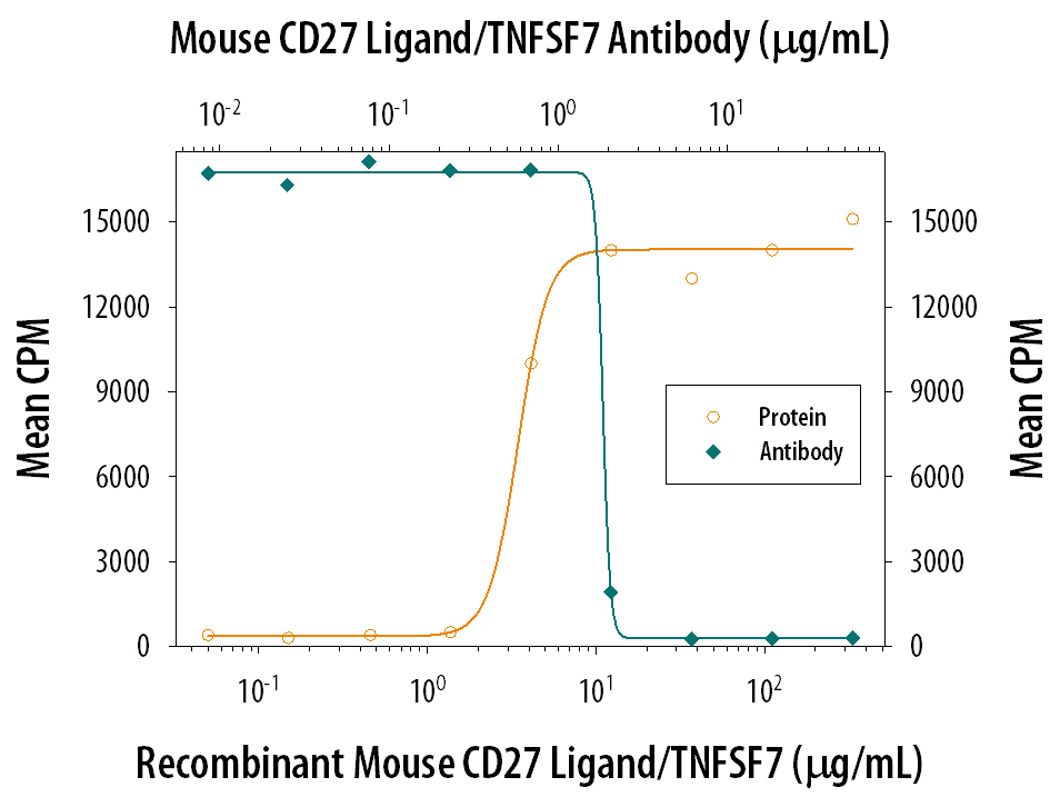 In the presence of sub-optimal amounts of Mouse CD3e Monoclonal Antibody (Catalog # MAB484), Recom-binant Mouse CD27 Ligand/ TNFSF7 (Catalog # 783-CL) stimulates proliferation in mouse splenic T cells in a dose-dependent manner (orange line). Under these conditions, prolif-eration elicited by Recombinant Mouse CD27 Ligand/TNFSF7 (10 µg/mL) is neutralized (green line) by increasing concen-trations of Rat Anti-Mouse CD27 Ligand/ TNFSF7 Monoclonal Antibody (Catalog # MAB783). The ND50 is typically 0.5-2 µg/mL.