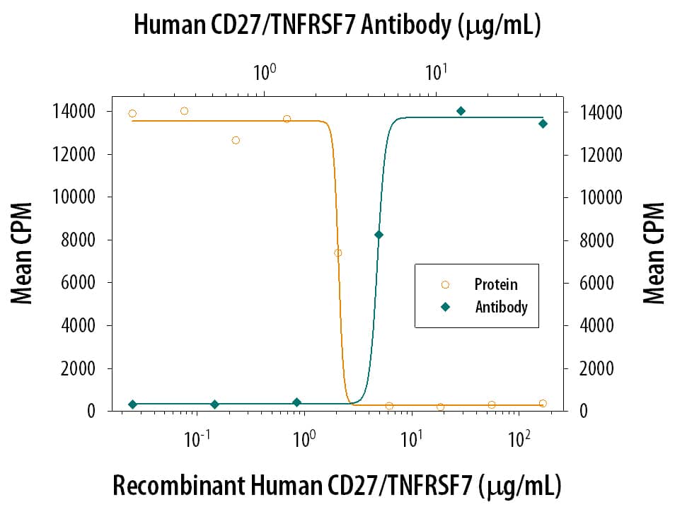 Neutralization CD27/TNFRSF7 Antibody (57703)