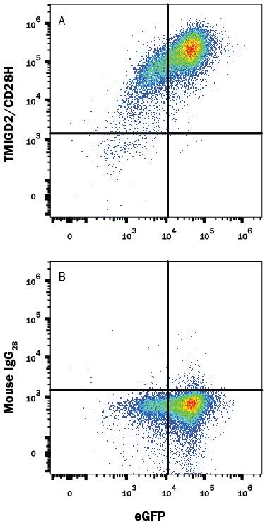Flow Cytometry TMIGD2 Antibody (953743) [Unconjugated]