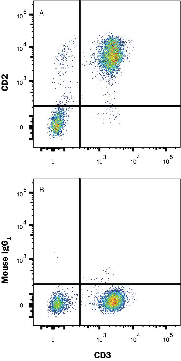 Human peripheral blood lymphocytes were stained with (A) Mouse Anti-Human CD2 Monoclonal Antibody (Catalog # MAB18562) or (B) Mouse IgG1 Isotype Control (Catalog # MAB002), followed by PE-conjugated anti-Mouse IgG secondary antibody (Catalog # F0102B) and Mouse Anti-Human CD3 epsilon APC-conjugated Monoclonal Antibody (Catalog # FAB100A). View our protocol for Staining Membrane-associated Proteins.