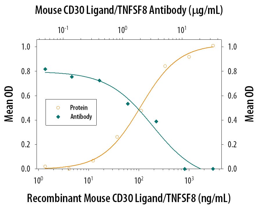 In the presence of a cross-linking antibody, Mouse polyHistidine Monoclonal Antibody (10 µg/mL, Catalog # MAB050), Recombinant Mouse CD30 Ligand/TNFSF8 (Catalog # 732-CL) stimulates IL-6 secretion in the HDLM human Hodgkin’s lymphoma cell line in a dose-dependent manner (orange line), as measured by the Human IL-6 Quantikine ELISA Kit (Catalog # D6050). Under these conditions, IL-6 secretion elicited by Recombinant Mouse CD30 Ligand/TNFSF8 (500 ng/mL) is neutralized (green line) by increasing concentrations of Goat Anti-Mouse CD30 Ligand/TNFSF8 Antigen Affinity-purified Poly-clonal Antibody (Catalog # AF732). The ND50 is typically 3-10 µg/mL.