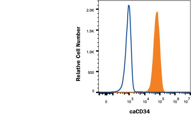 CLL-1390 canine leukocytic round cell neoplasia cell line was stained with Mouse Anti-Canine CD34 Alexa Fluor® 488-conjugated Monoclonal Antibody (Catalog # FAB3346G, filled histogram) or isotype control antibody (Catalog # IC002G, open histogram). View our protocol for Staining Membrane-associated Proteins.
