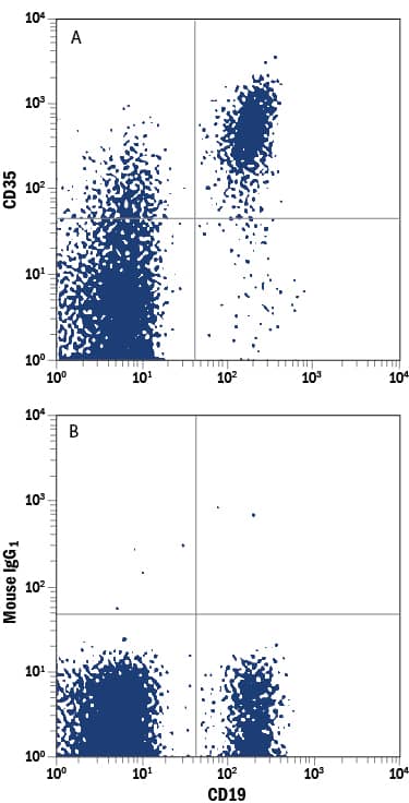 Human peripheral blood lymphocytes were stained with Mouse Anti-Human CD19 Fluorescein-conjugated Monoclonal Antibody (Catalog # FAB4867F) and either (A) Mouse Anti-Human CD35 APC-conjugated Monoclonal Antibody (Catalog # FAB5748A) or (B) Mouse IgG1Allophycocyanin Isotype Control (Catalog # IC002A). View our protocol for Staining Membrane-associated Proteins.