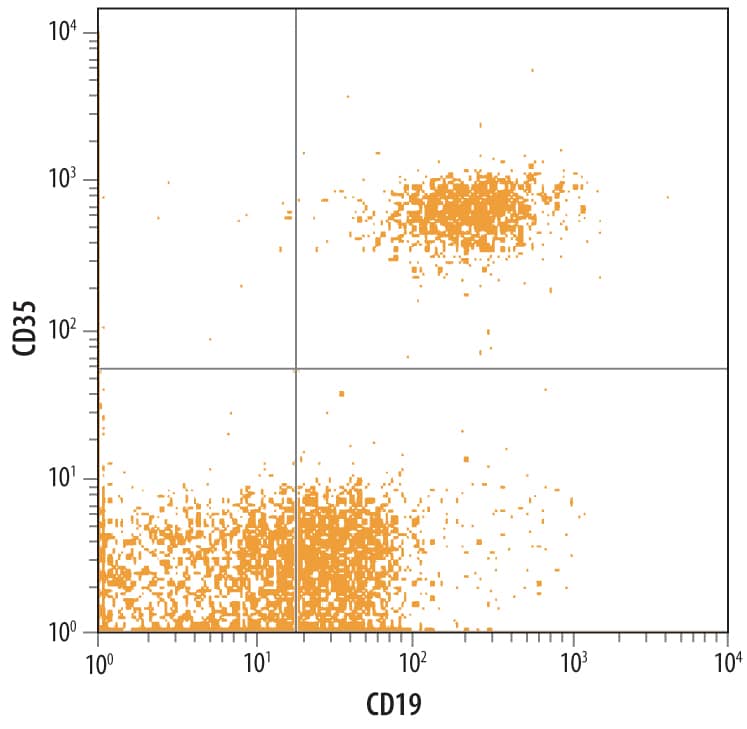 Human peripheral blood lymphocytes (PBMC) were stained with Human CD35 Monoclonal Antibody (Catalog # MAB5748) followed by Allophycocyanin-conjugated Anti-Mouse IgG F(ab')2Secondary Antibody (Catalog # F0101B) and Human CD19 PE-conjugated Monoclonal Antibody (Catalog # FAB4867P). Quadrant markers were set based on control antibody staining (Catalog # MAB002 and IC002P, respectively).