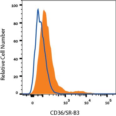 HepG2 human hepatocellular carcinoma cell line was stained with Rat Anti-Human CD36/SR-B3 Alexa Fluor® 700-conjugated Monoclonal Antibody (Catalog # FAB19551N, filled histogram) or isotype control antibody (Catalog # IC013N, open histogram). View our protocol for Staining Membrane-associated Proteins.