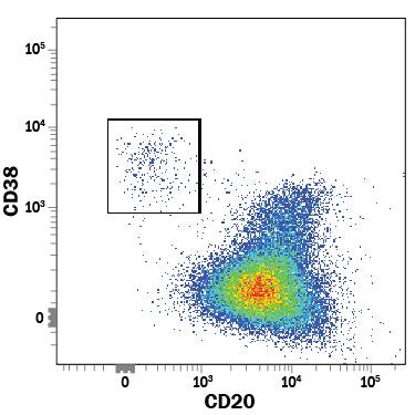 Human peripheral blood mononuclear cells (PBMCs) gated on CD19+CD3-cells were stained with Mouse Anti-Human CD38 PerCP-conjugated Monoclonal Antibody (Catalog # FAB2404C) and Mouse Anti-Human MS4A1/CD20 APC-conjugated Monoclonal Antibody (Catalog # FAB4225A). View our protocol for Staining Membrane-associated Proteins.