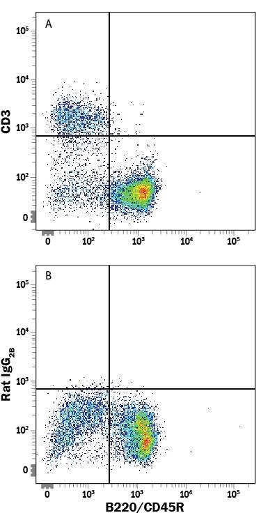 Mouse splenocytes were stained with Rat Anti-Mouse B220/CD45R APC-conjugated Monoclonal Antibody (Catalog # FAB1217A) and either (A) Rat Anti-Mouse CD3 Fluorescein-conjugated Monoclonal Antibody (Catalog # FAB4841F) or (B) Rat IgG2BFluorescein Isotype Control (Catalog # IC013F). View our protocol for Staining Membrane-associated Proteins.