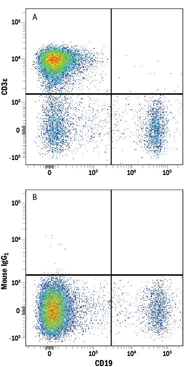 Human peripheral blood lymphocytes were stained with Mouse Anti-Human CD19 PE-conjugated Monoclonal Antibody (Catalog # FAB4867P) and either (A) Mouse Anti-Human CD3e Alexa Fluor® 750-conjugated Monoclonal Antibody (Catalog # FAB100S) or (B) Mouse IgG1Alexa Fluor 750 Isotype Control (Catalog # IC002S). View our protocol for Staining Membrane-associated Proteins.