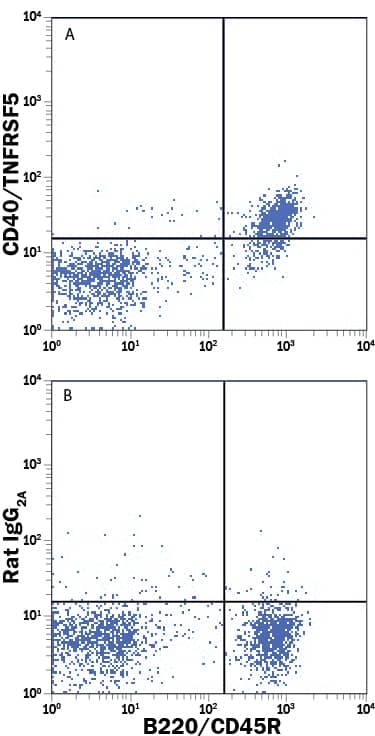 Mouse splenocytes were stained with Rat Anti-Mouse B220/CD45R APC-conjugated Monoclonal Antibody (Catalog # FAB1217A) and either (A) Rat Anti-Mouse CD40/TNFRSF5 Fluorescein-conjugated Monoclonal Antibody (Catalog # FAB440F) or (B) Rat IgG2AFluorescein Isotype Control (Catalog # IC006F). View our protocol for Staining Membrane-associated Proteins.