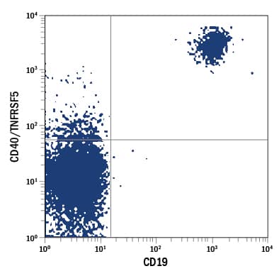 Human peripheral blood lymphocytes were stained with Mouse Anti-Human CD40/TNFRSF5 APC-conjugated Monoclonal Antibody (Catalog # FAB6321A) and Mouse Anti-Human CD19 PE-conjugated Monoclonal Antibody (Catalog # <a class=