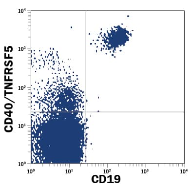 Human peripheral blood lymphocytes were stained with Mouse Anti-Human CD40/TNFRSF5 PE-conjugated Monoclonal Antibody (Catalog # FAB6321P) and Mouse Anti-Human CD19 Fluorescein-conjugated Monoclonal Antibody (Catalog # <a class=