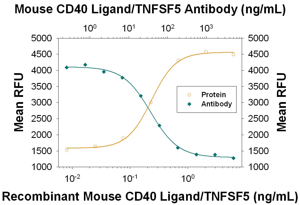 Recombinant Mouse CD40 Ligand/TNFSF5 (Catalog # 8230-CL) induces proliferation in mouse splenic B cells in a dose-dependent manner (orange line), as measured by Resazurin (Catalog # AR002). Proliferation elicited by Recombinant Mouse CD40 Ligand/TNFSF5 (0.5 ng/mL) is neutralized (green line) by increasing concentrations of Rat Anti-Mouse CD40 Ligand/TNFSF5 Monoclonal Antibody (Catalog # MAB1163). The ND50 is typically 0.0075-0.045 µg/mL.