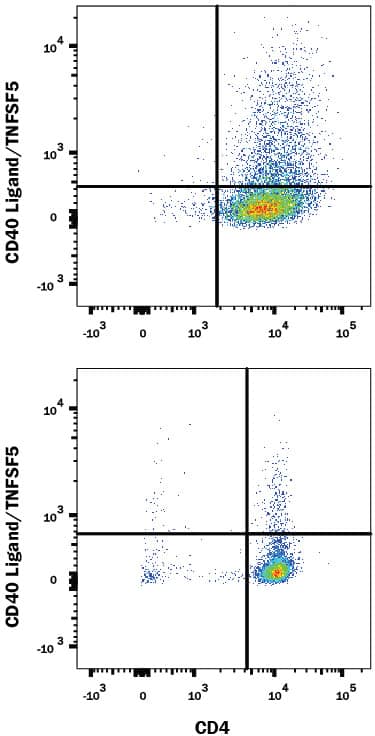 Mouse splenocytes either (A) stimulated to induce Th1 cells or (B) unstimulated were stained with Rat Anti-Mouse CD40 Ligand/TNFSF5 Monoclonal Antibody (Catalog # MAB1163) followed by Allophycocyanin-conjugated Anti-Rat IgG Secondary Antibody (Catalog # F0113) and Rat Anti-Mouse CD4 PE-conjugated Monoclonal Antibody (Catalog # FAB554P). Quadrant markers were set based on control antibody staining (Catalog # MAB006). View our protocol for Staining Membrane-associated Proteins.