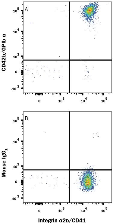 Human CD41+platelets were stained with Mouse Anti-Human Integrin a2b/CD41 PE-conjugated Monoclonal Antibody (Catalog # FAB7616P) and either (A) Mouse Anti-Human CD42b/GPIb a APC-conjugated Monoclonal Antibody (Catalog # FAB4067A) or (B) Mouse IgG1Allophycocyanin Isotype Control (Catalog # IC002A). View our protocol for Staining Membrane-associated Proteins.