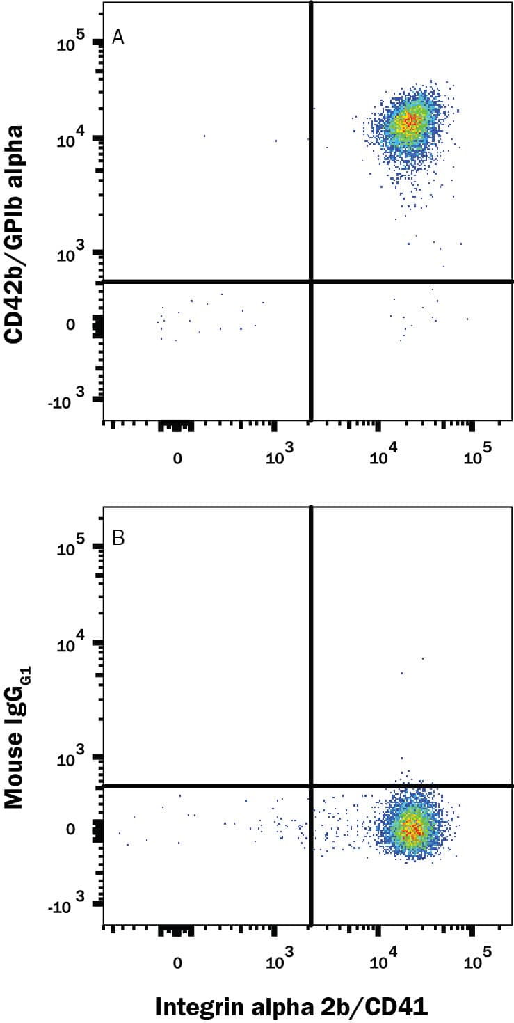Human platelets were stained with Mouse Anti-Human Integrin alpha 2b/CD41 PE-conjugated Monoclonal Antibody (Catalog # FAB7616P) and either (A) Mouse Anti-Human CD42b/GPIb alpha Alexa Fluor® 647-conjugated Monoclonal Antibody (Catalog # FAB4067R) or (B) Mouse IgG1 Alexa Fluor® 647 Isotype Control (Catalog # IC002R). View our protocol for Staining Membrane-associated Proteins.