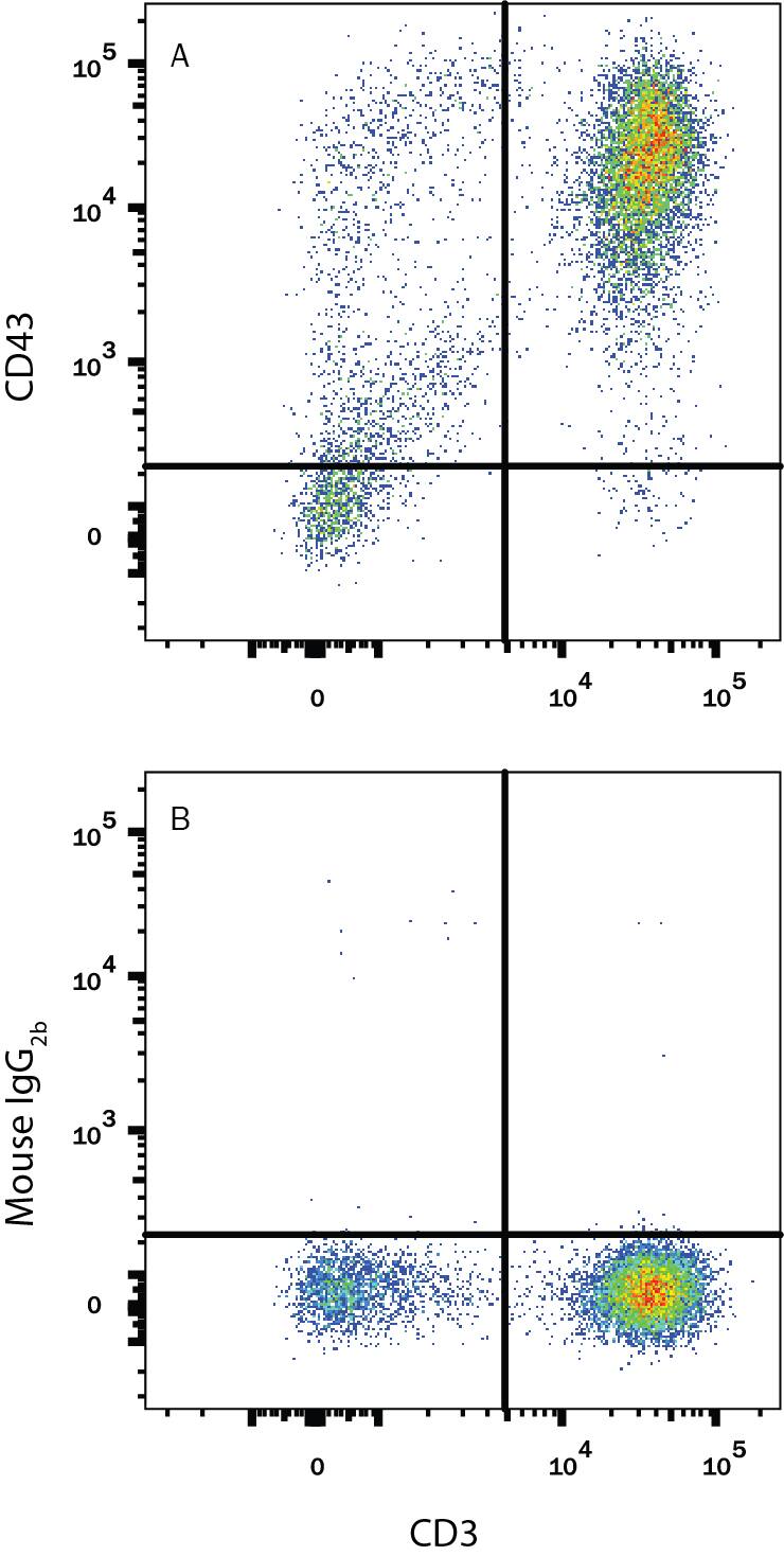 Human peripheral blood mononuclear cells (PBMCs) were stained with Mouse Anti-Human CD3e APC-conjugated Monoclonal Antibody (Catalog # FAB100A) and either (A) Mouse Anti-Human CD43 PE-conjugated Monoclonal Antibody (Catalog # FAB2038P) or (B) Mouse IgG2BPhycoerythrin Isotype Control (Catalog # IC0041P). View our protocol for Staining Membrane-associated Proteins.