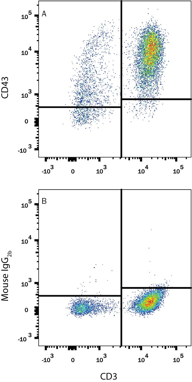 Human peripheral blood mononuclear cells (PBMCs) were stained with Mouse Anti-Human CD3e APC-conjugated Monoclonal Antibody (Catalog # FAB100A) and either (A) Mouse Anti-Human CD43 Monoclonal Antibody (Catalog # MAB2038) or (B) Mouse IgG2BFlow Cytometry Isotype Control (Catalog # MAB0041) followed by Phycoerythrin-conjugated Anti-Hamster IgG Secondary Antibody. View our protocol for Staining Membrane-associated Proteins.