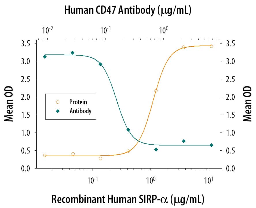 Recombinant Human SIRPa/CD172a (Catalog # 4546-SA), immobilized onto a microplate, supports the adhesion of the human erythrocytes in a dose-dependent manner (orange line). Adhesion elicited by Recombinant Human SIRP-a (2 µg/mL) is neutralized (green line) by increasing concentrations of Sheep Anti-Human CD47 Poly-clonal Antibody (Catalog # AF4670). The adhesion was maximally inhibited (70-100%) by 2 µg/mL of the antibody.