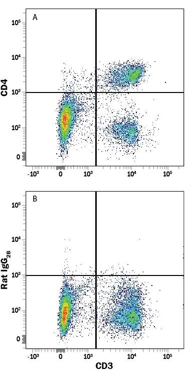 Mouse splenocytes were stained with Rat Anti-Mouse CD3 APC‑conjugated Monoclonal Antibody (Catalog # FAB4841A) and either (A) Rat Anti-Mouse CD4 Fluorescein‑conjugated Monoclonal Antibody (Catalog # FAB554F) or (B) Rat IgG2BFluorescein Isotype Control (Catalog # IC013F). View our protocol for Staining Membrane-associated Proteins.