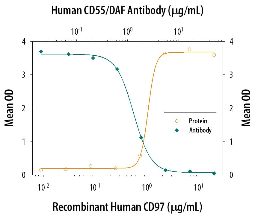 Recombinant Human CD97 (Catalog # 2529-CD), immobilized onto a microplate, supports the adhesion of human red blood cells in a dose-dependent manner (orange line). Adhesion elicited by Recombinant Human CD97 (5 µg/mL) is neutralized (green line) by increasing concentrations of Mouse Anti-Human CD55/DAF Monoclonal Antibody (Catalog # MAB2009). The ND50 is typically 0.5-2 µg/mL.