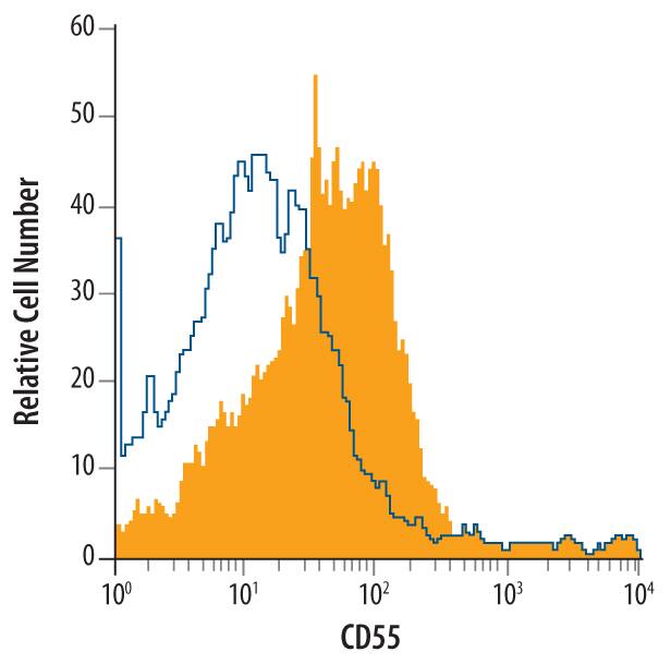 Mouse splenocytes were stained with Rat Anti-Mouse CD55/DAF Monoclonal Antibody (Catalog # MAB5376, filled histogram) or isotype control antibody (Catalog # MAB006, open histogram), followed by Phycoerythrin-conjugated Anti-Rat IgG F(ab')2Secondary Antibody (Catalog # F0105B).