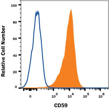 Human PBMC lymphocytes were stained with Rabbit Anti-Human CD59 Monoclonal Antibody (Catalog # MAB1987, filled histogram) or isotype control antibody (Catalog # MAB1050, open histogram) followed by anti-Rabbit IgG PE-conjugated secondary antibody (Catalog # F0110). View our protocol for Staining Membrane-associated Proteins.