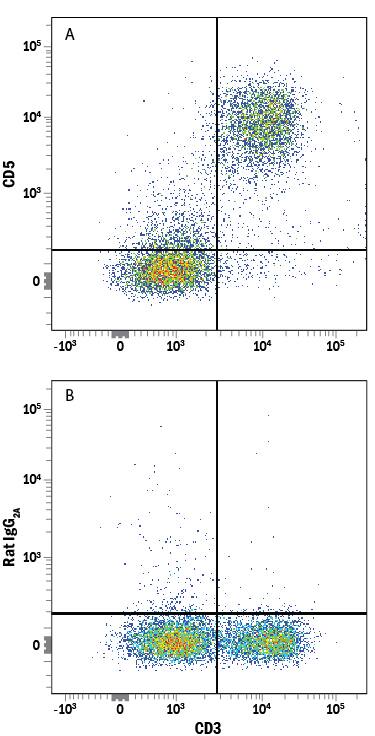 Mouse splenocytes were stained with Rat Anti-Mouse CD3 PE-conjugated Monoclonal Antibody (Catalog # FAB4841P) and either (A) Rat Anti-Mouse CD5 APC-conjugated Monoclonal Antibody (Catalog # FAB115A) or (B) Rat IgG2AAllophycocyanin Isotype Control (Catalog # IC006A). View our protocol for Staining Membrane-associated Proteins.