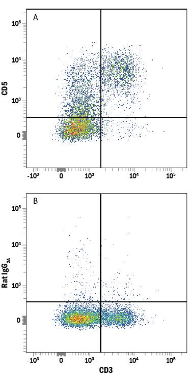 Mouse splenocytes were stained with Rat Anti-Mouse CD3 PE-conjugated Monoclonal Antibody (Catalog # FAB4841P) and either (A) Rat Anti-Mouse CD5 Alexa Fluor® 700-conjugated Monoclonal Antibody (Catalog # FAB115N) or (B) Rat IgG2AAlexa Fluor 700 Isotype Control (Catalog # IC006N). View our protocol for Staining Membrane-associated Proteins.