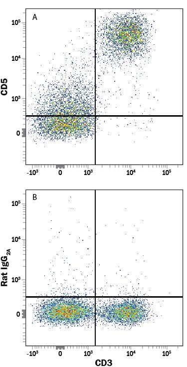 Mouse splenocytes were stained with Rat Anti-Mouse CD3 APC-conjugated Monoclonal Antibody (Catalog # FAB4841A) and either (A) Rat Anti-Mouse CD5 PE-conjugated Monoclonal Antibody (Catalog # FAB115P) or (B) Rat IgG2APhycoerythrin Isotype Control (Catalog # IC006P). View our protocol for Staining Membrane-associated Proteins.
