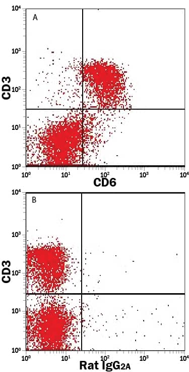 Mouse splenocytes were stained with Rat Anti-Mouse CD3 APC-conjugated Monoclonal Antibody (Catalog # FAB4841A) and either (A) Rat Anti-Mouse CD6 Alexa Fluor® 488-conjugated Monoclonal Antibody (Catalog # FAB727G) or (B) Rat IgG2AAlexa Fluor 488 Isotype Control (Catalog # IC006G). View our protocol for Staining Membrane-associated Proteins.