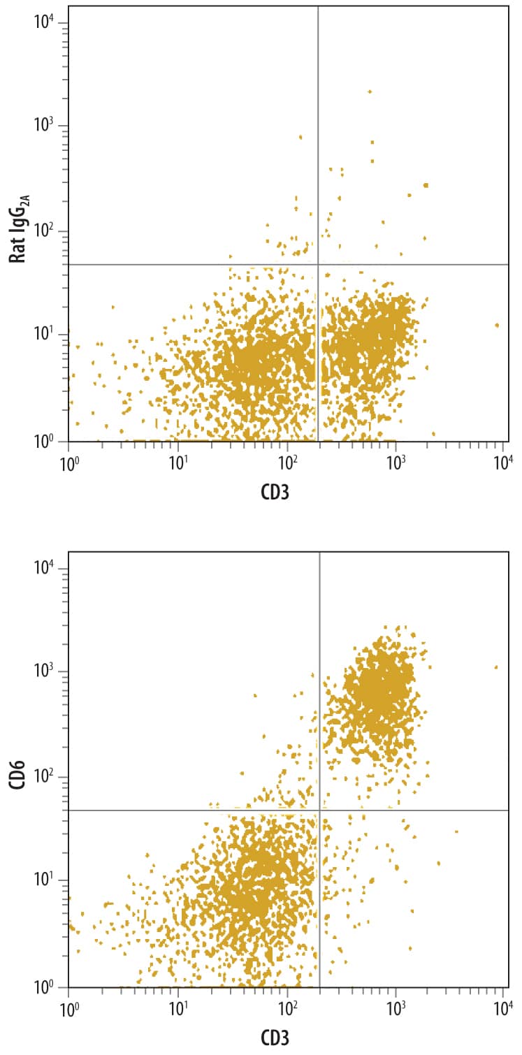 Mouse splenocytes were stained with Rat Anti-Mouse CD6 Monoclonal Antibody (Catalog # MAB727) followed by Allophycocyanin-conjugated Anti-Rat IgG Secondary Antibody (Catalog # F0113) and Rat Anti-Mouse CD3 PE-conjugated Monoclonal Antibody (Catalog # FAB4841P). Quadrant markers were set based on control antibody staining (Catalog # MAB006).