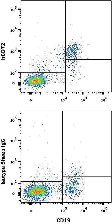 Human peripheral blood mononuclear cells (PBMCs) were stained with either (A) Sheep Anti-Human CD72 Affinity-Purified Polyclonal Antibody (Catalog # AF5405) or (B) Sheep IgG Isotype Control (Catalog # 5-001-A) followed by anti-Sheep IgG APC-conjugated Secondary Antibody (Catalog # F0127) and Mouse Anti-Human CD19 PE-conjugated Monoclonal Antibody (Catalog # FAB4867P). View our protocol for Staining Membrane-associated Proteins.