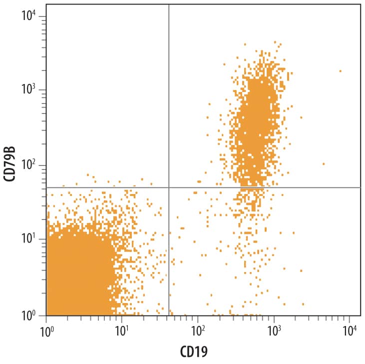 Human peripheral blood lymphocytes were stained with Sheep Anti-Human CD79B Antigen Affinity-purified Polyclonal Antibody (Catalog # AF6620) followed by NorthernLights™ 637-conjugated Anti-Sheep IgG Secondary Antibody (Catalog # NL011) and Mouse Anti-Human CD19 PE-conjugated Monoclonal Antibody (Catalog # FAB4867P). Quadrant markers were set based on control antibody staining (Catalog # 5-001-A).