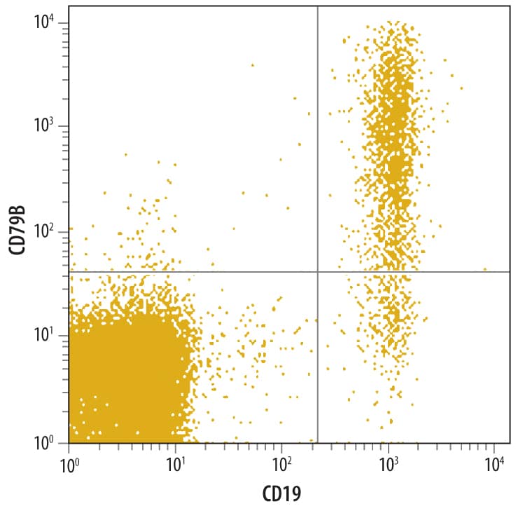 Human peripheral blood lymphocytes were stained with Human CD79B Monoclonal Antibody (Catalog # MAB6620) followed by Allophycocyanin-conjugated Anti-Mouse IgM Secondary Antibody (Catalog # F0117) and Human CD19 PE-conjugated Monoclonal Antibody (Catalog # FAB4867P). Quadrant markers were set based on normal mouse IgM control antibody staining .
