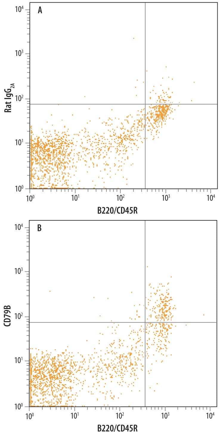 Mouse splenocytes were stained with Rat Anti-Mouse CD79B Monoclonal Antibody (Catalog # MAB6814) followed by Allophycocyanin-conjugated Anti-Rat IgG Secondary Antibody (Catalog # F0113) and Rat Anti-Mouse B220/CD45R PE-conjugated Monoclonal Antibody (Catalog # FAB1217P). Quadrant markers were set based on control antibody staining (Catalog # MAB006).