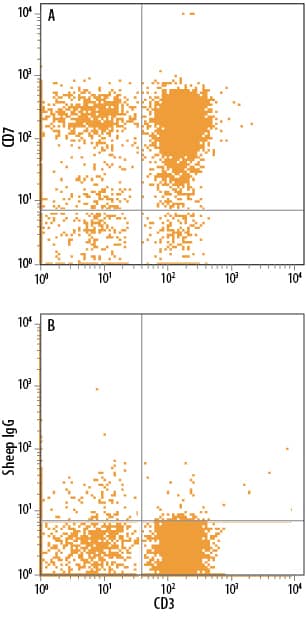 Human peripheral blood mononuclear cells (PBMCs) were stained with Mouse Anti-Human CD3e APC-conjugated Monoclonal Antibody (Catalog # FAB100A) and either (A) Sheep Anti-Human CD7 Antigen Affinity-purified Polyclonal Antibody (Catalog # AF7579) or (B) Sheep IgG Control (Catalog # 5-001-A) followed by Phycoerythrin-conjugated Anti-Sheep IgG Secondary Antibody (Catalog # F0126).