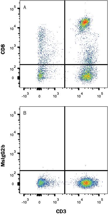 Human peripheral blood lymphocytes were stained with (A) Mouse Anti-Human CD8a PE-conjugated Monoclonal Antibody (Catalog # FAB1509P) or (B) Mouse IgG2B isotype control antibody (Catalog # IC0041P) and Mouse Anti-Human CD3e APC-conjugated Monoclonal Antibody (Catalog # FAB100A). View our protocol for Staining Membrane-associated Proteins.